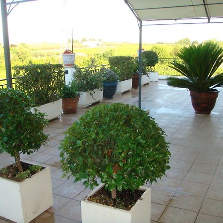 B&B Costa D'Abruzzo Fossacesia Esterno foto