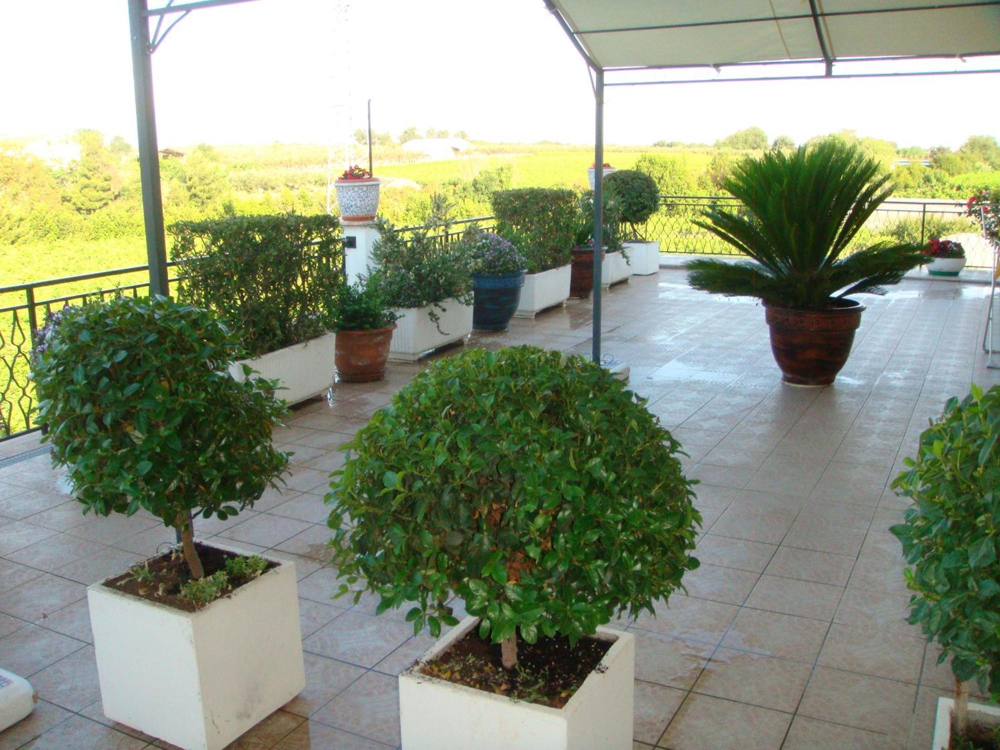 B&B Costa D'Abruzzo Fossacesia Esterno foto